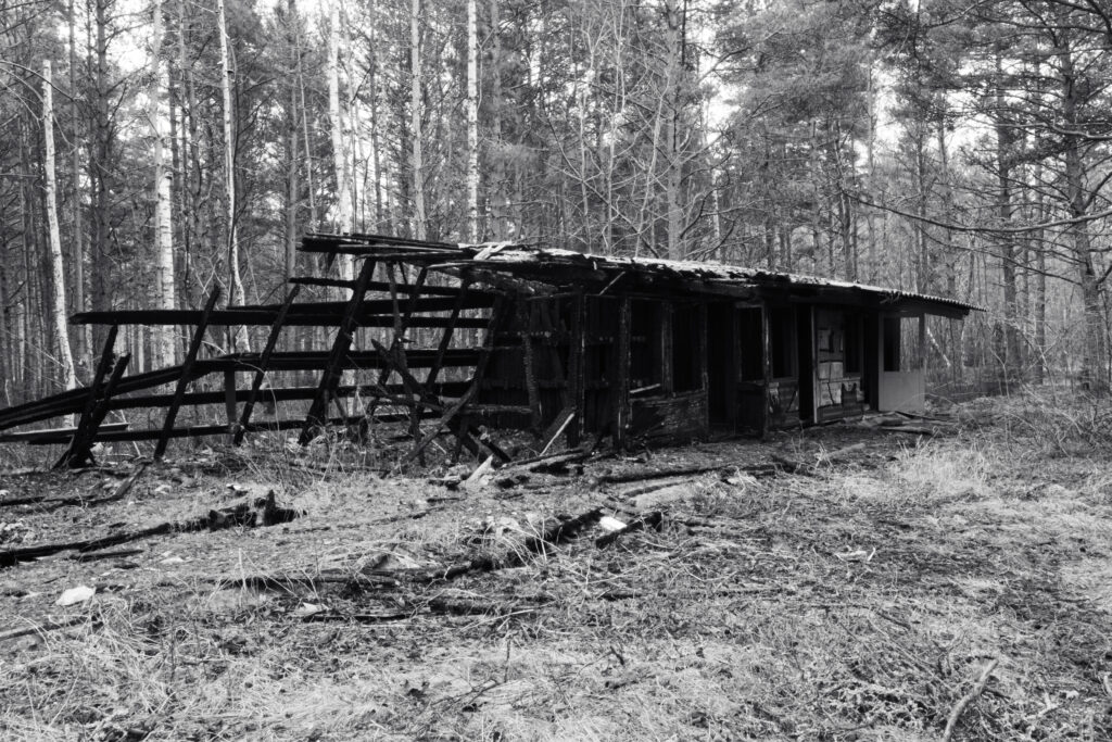 Salarand Urban Decay