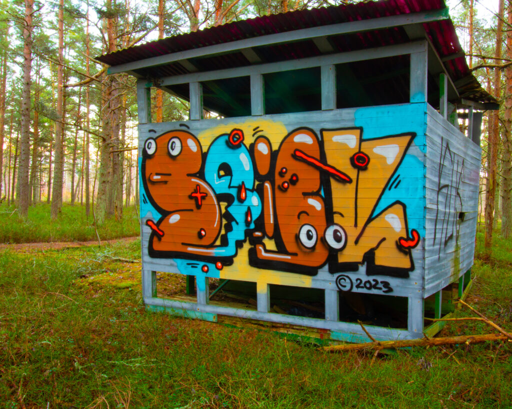 Salarand Graffiti Photography