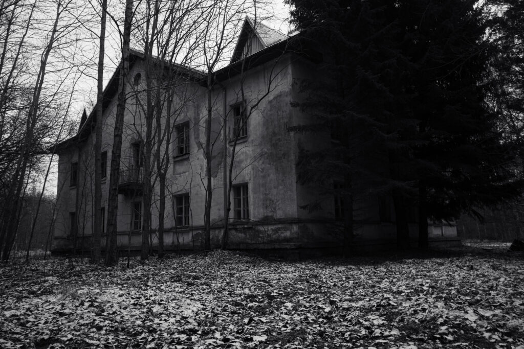 Urbay Decay Forest Photography