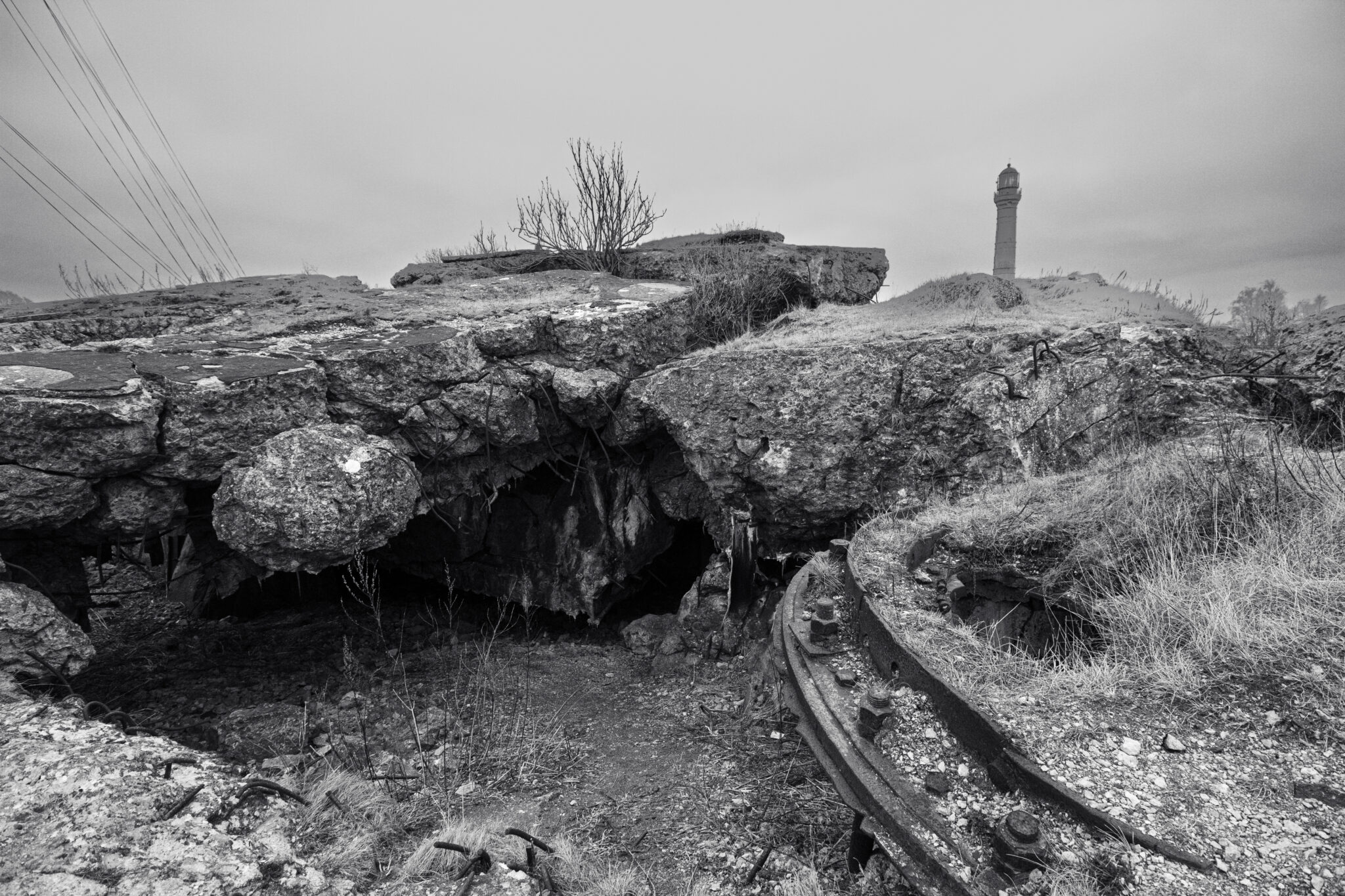 Paldiski Nature Photography