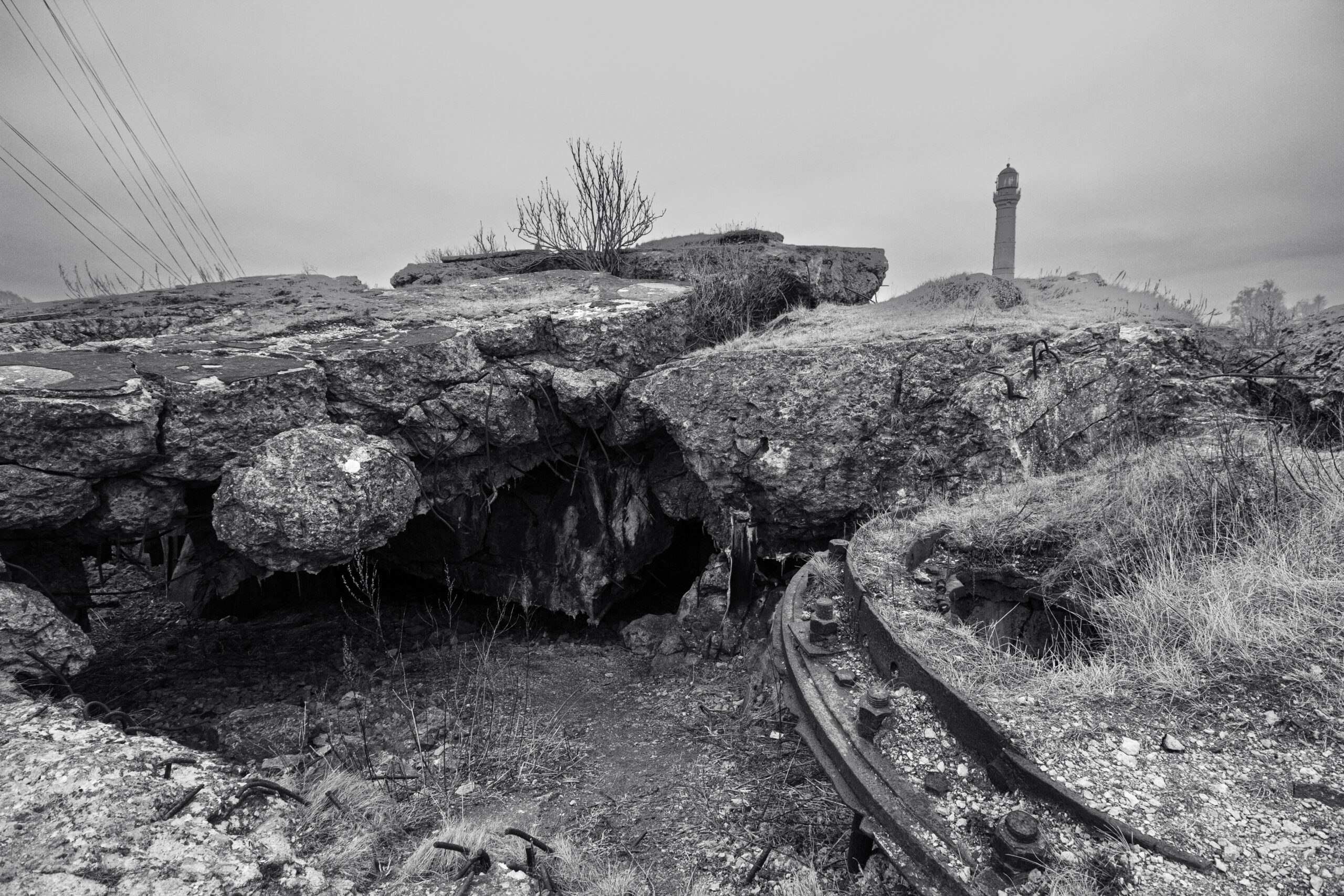 Paldiski Nature Photography