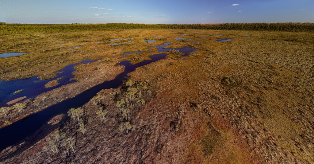 DCIMPANORAMA100_0170DJI, Soomaa, Estonia – landscape photo by Martin Marfeldt