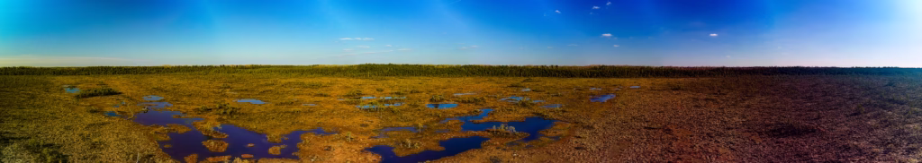 soomaa bogland drone arial photography
