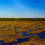 soomaa bogland drone arial photography