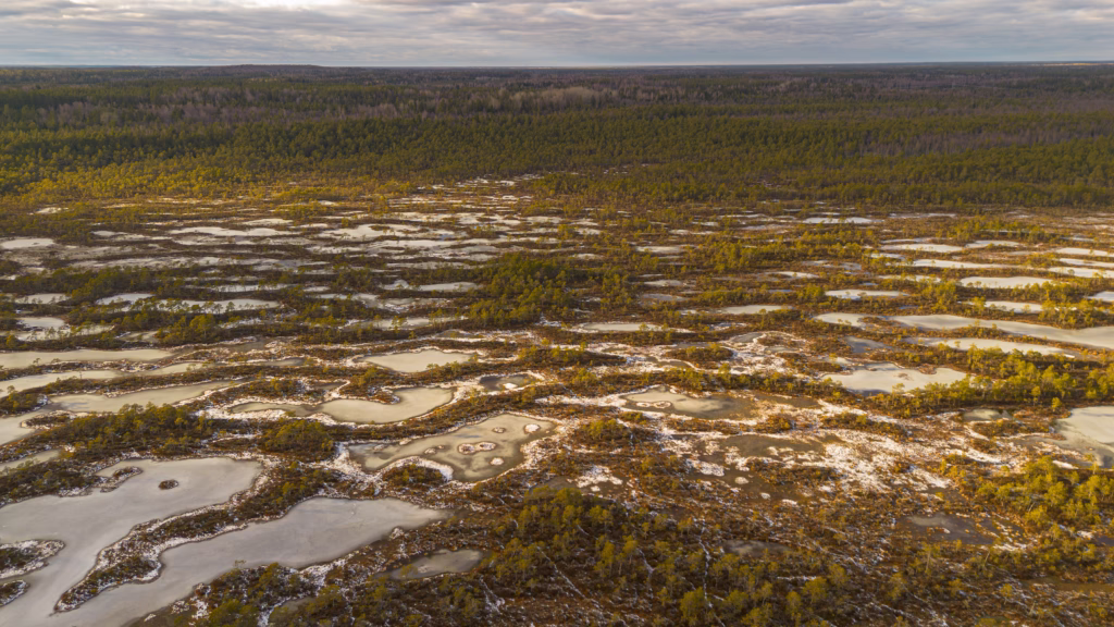 Nature Photography Loodusfotograafia bog soo Kakerdaja Raba