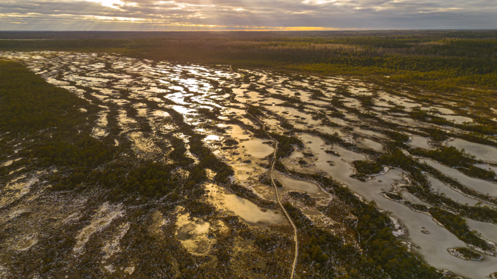Nature Photography Loodusfotograafia bog soo Kakerdaja Raba