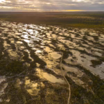 Nature Photography Loodusfotograafia bog soo Kakerdaja Raba