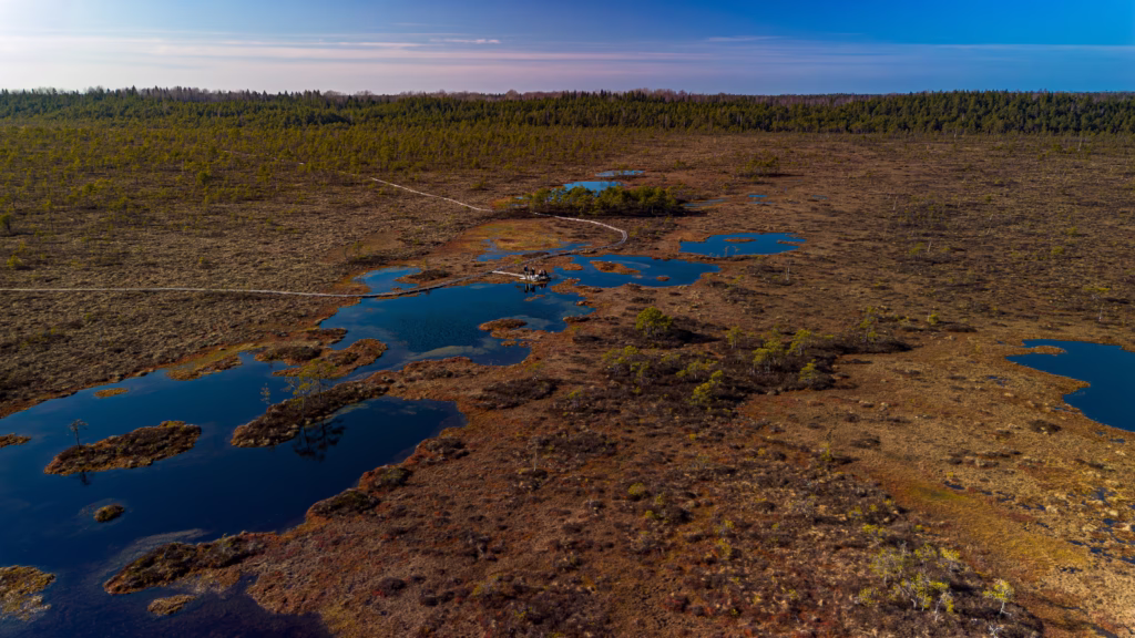 Soomaa, Estonia – landscape photo by Martin Marfeldt