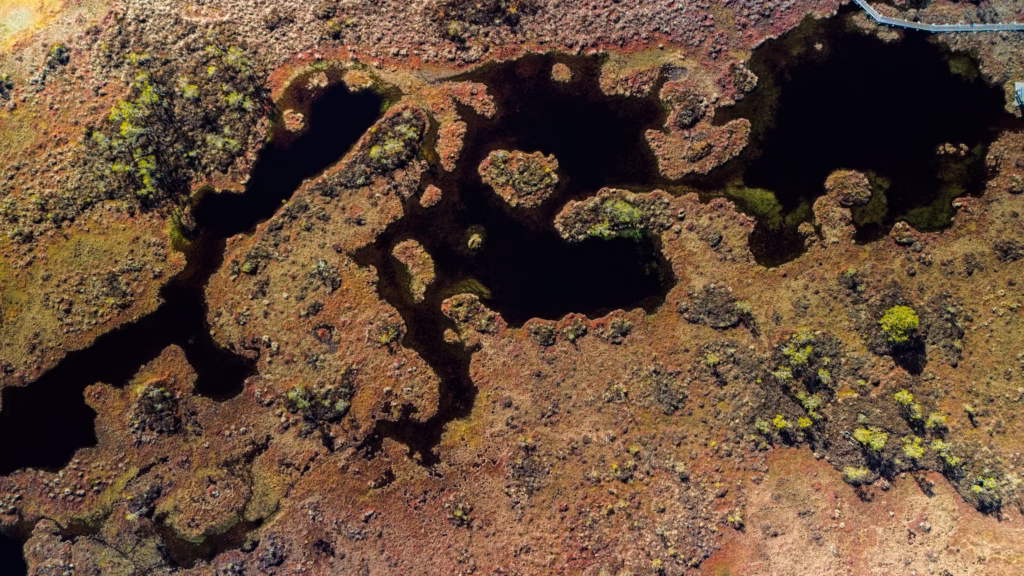 soomaa bogland drone arial photography