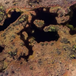 soomaa bogland drone arial photography