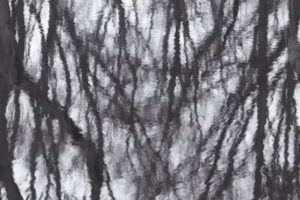 Abstract Photography Ice Pirita Abstakt Fotograafia Loodus Jää Pirita Rand