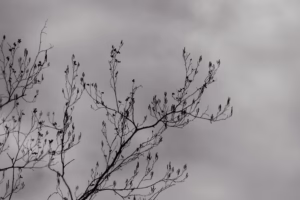 Abstract Photography Pirita Abstakt Fotograafia Loodus Pirita Rand