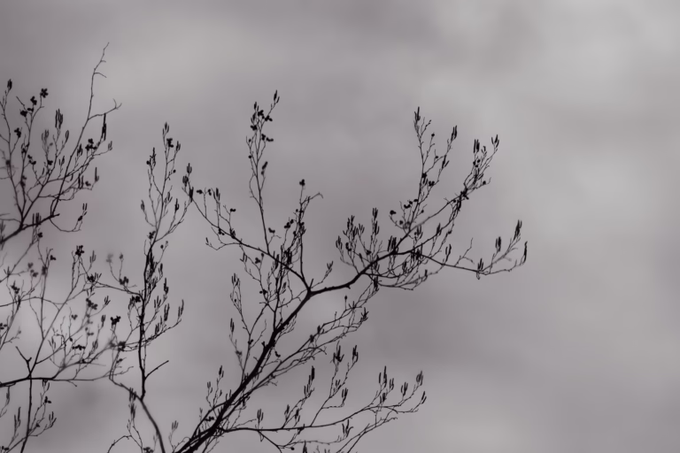 Abstract Photography Pirita Abstakt Fotograafia Loodus Pirita Rand