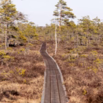 Landscape photo from Estonia, February 2023, by Martin Marfeldt