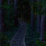 Soomaa Rahvuspark Bog Land Nature Photography