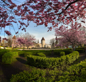 default, Estonia – landscape photo by Martin Marfeldt