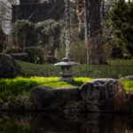 Japanese Garden Tallinn Jaapaniaed Loodusfotograafia Photography
