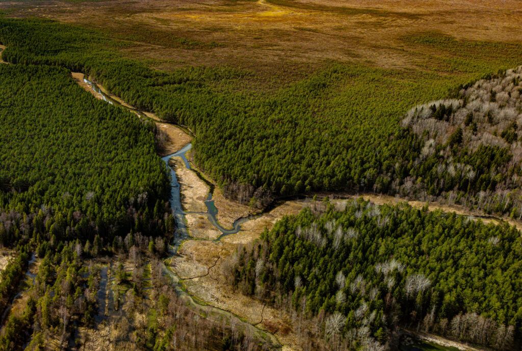 Drone photo of Estonian nature showing a winding river through dense forest, captured during a summer aerial photography session / Droonifoto Eesti loodusest, millel looklev jõgi voolab läbi tiheda metsa, jäädvustatud suvisel droonifotograafia sessioonil