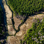 Drone photo of Estonian nature showing a winding river through dense forest, captured during a summer aerial photography session / Droonifoto Eesti loodusest, millel looklev jõgi voolab läbi tiheda metsa, jäädvustatud suvisel droonifotograafia sessioonil