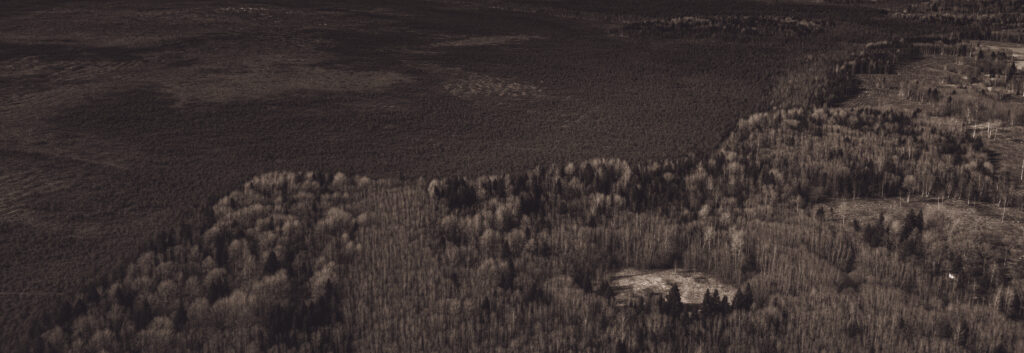 Drone photo of Estonian nature showing a winding river through dense forest, captured during a summer aerial photography session / Droonifoto Eesti loodusest, millel looklev jõgi voolab läbi tiheda metsa, jäädvustatud suvisel droonifotograafia sessioonil