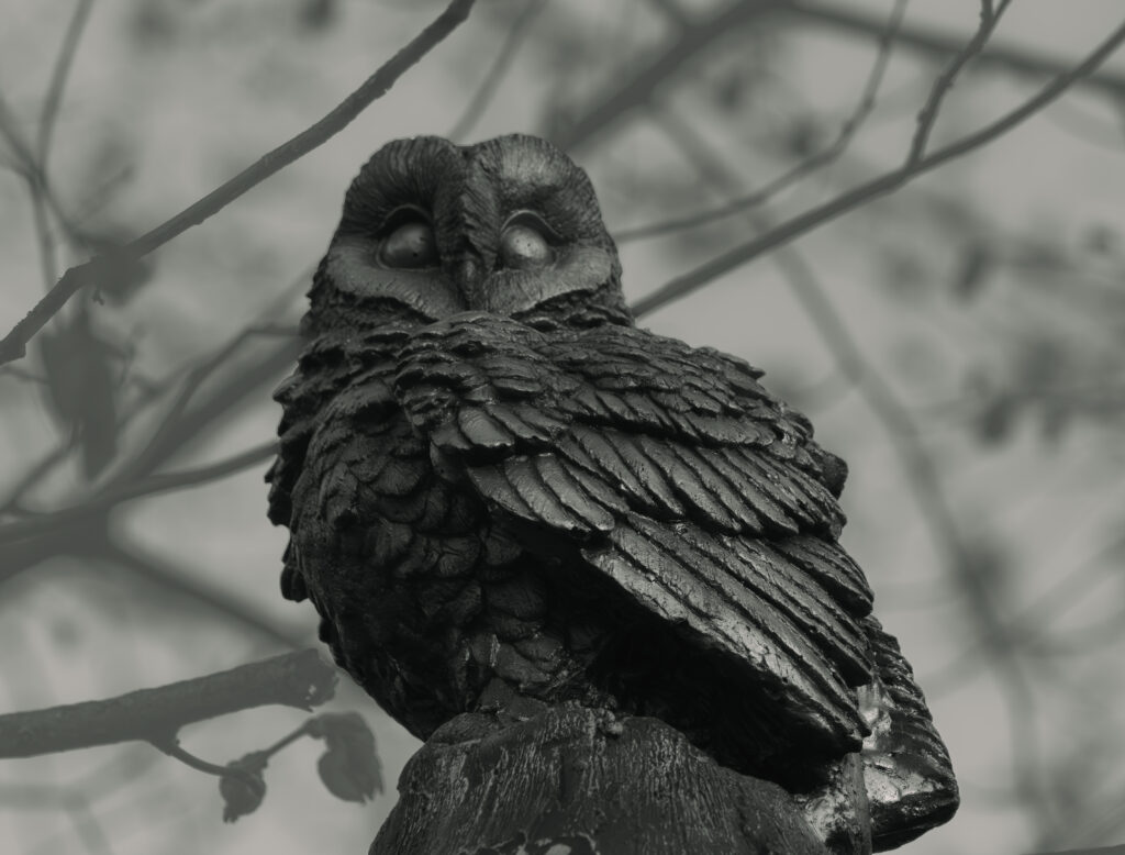 A beautifully detailed owl statue perched on a stone in a garden setting, captured in soft natural light / Kaunis detailne öökulli kuju, mis on kivile asetatud aias, jäädvustatud pehmes looduslikus valguses