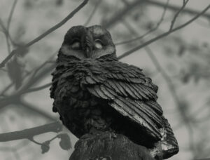 A beautifully detailed owl statue perched on a stone in a garden setting, captured in soft natural light / Kaunis detailne öökulli kuju, mis on kivile asetatud aias, jäädvustatud pehmes looduslikus valguses