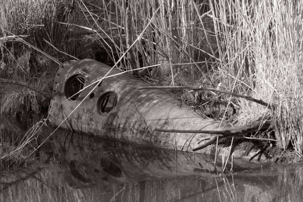 Wreck in the reeds