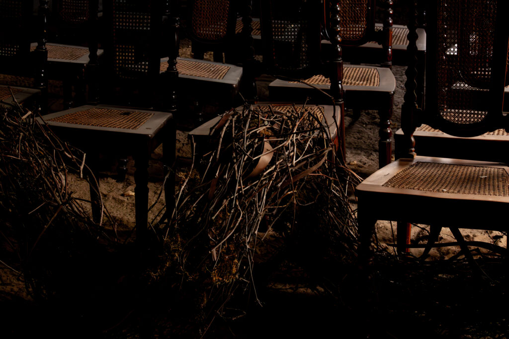 Rustic old chairs surrounded by branches in an abandoned mõis / Mõisahoonestunud vana toolide ja oksade rustikaalne kompositsioon