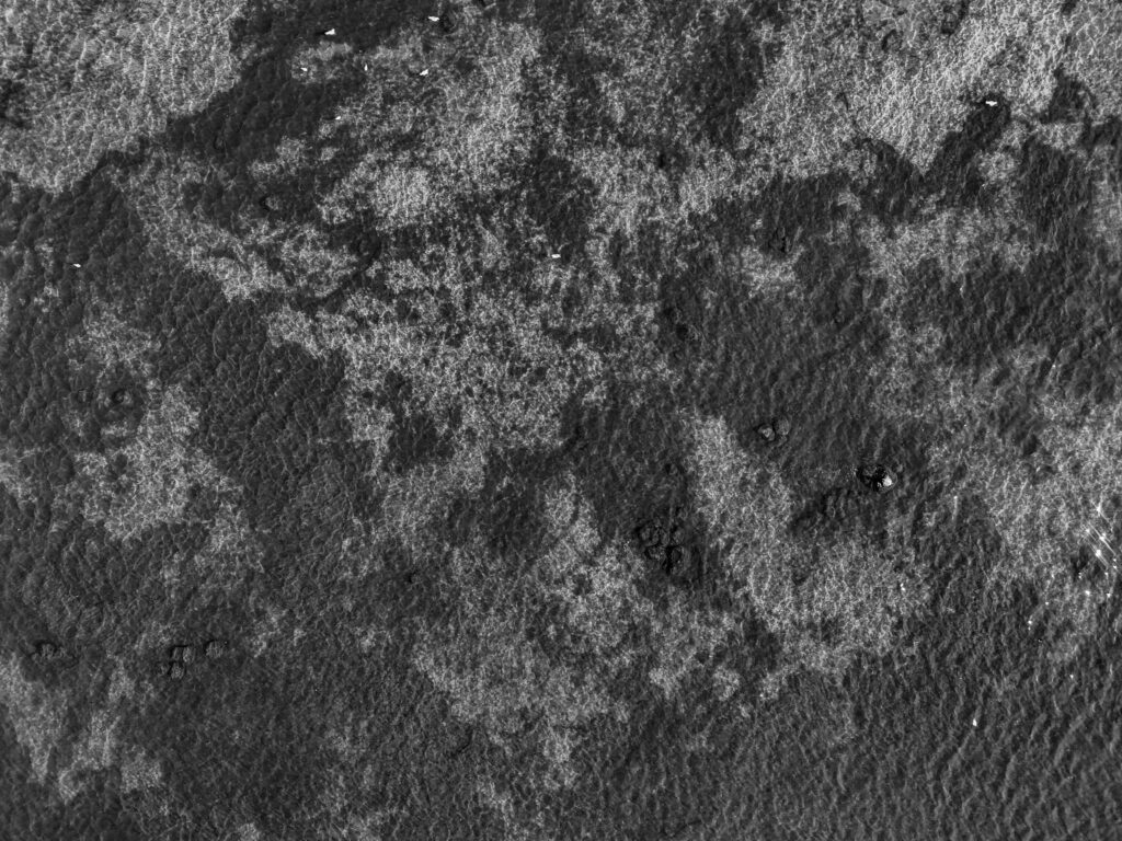 Black and white aerial drone photo showing shallow sea with abstract patterns / Mustvalge õhust tehtud droonifoto madalast merest abstraktsete mustritega