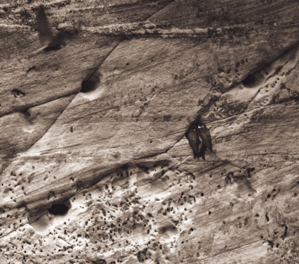 Sandstone cliffs of Suur and Väike Taevaskoda rising above the Ahja River in a lush Estonian forest