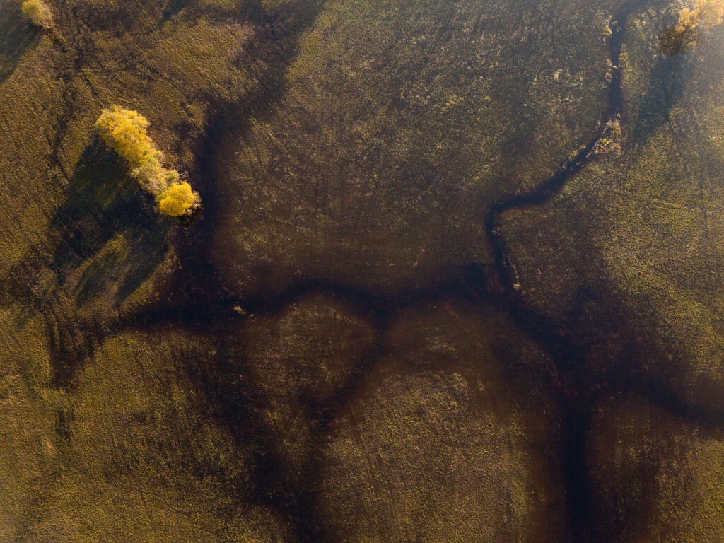 default, Estonia – landscape photo by Martin Marfeldt