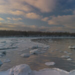 Landscape photo from Estonia, January 2026, by Martin Marfeldt
