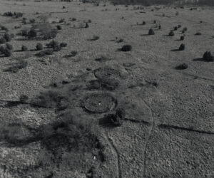 default, Rebala stone graves, Estonia – landscape photo by Martin Marfeldt