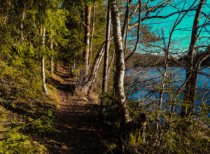 default, Estonia – landscape photo by Martin Marfeldt