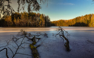 default, Estonia – landscape photo by Martin Marfeldt