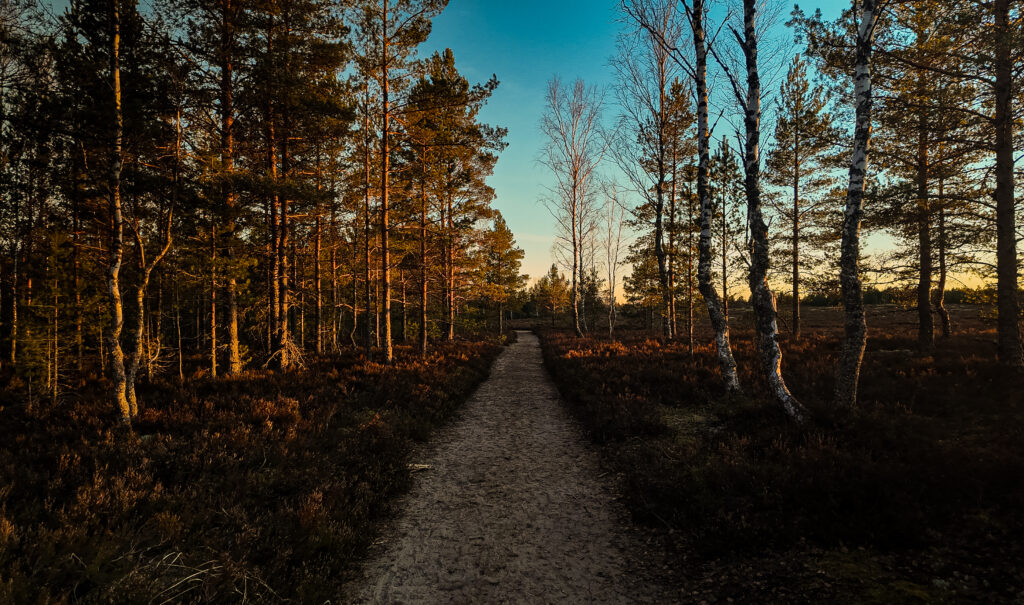 default, Estonia – landscape photo by Martin Marfeldt