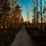 default, Estonia – landscape photo by Martin Marfeldt