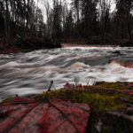river in estonia