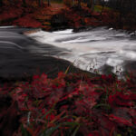 River in Estonia in Autumn