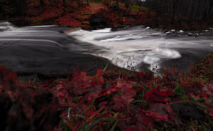 River in Estonia in Autumn