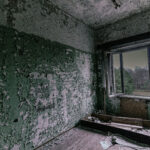 Abandoned Buildings Estonia