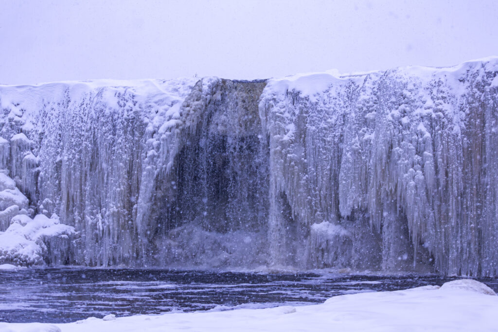 Landscape photo from Estonia, November 2023, by Martin Marfeldt