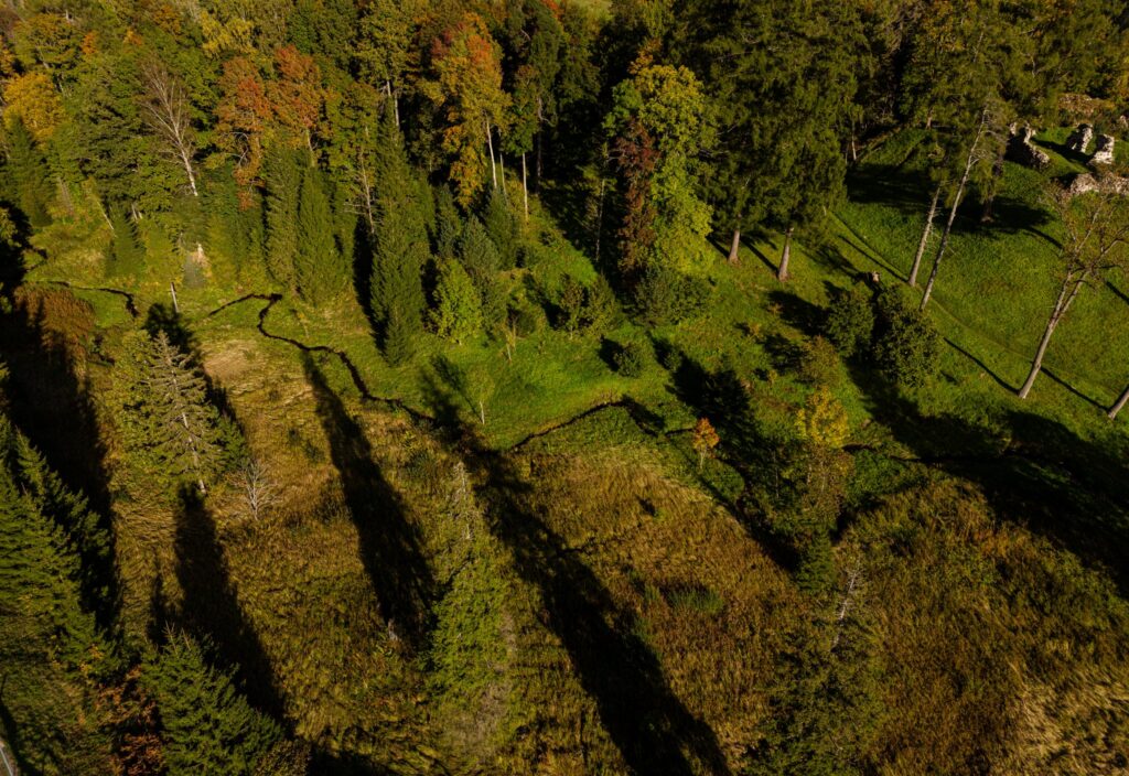 Aerial view of autumn trees casting long shadows over a stream valley beside Helme castle ruins