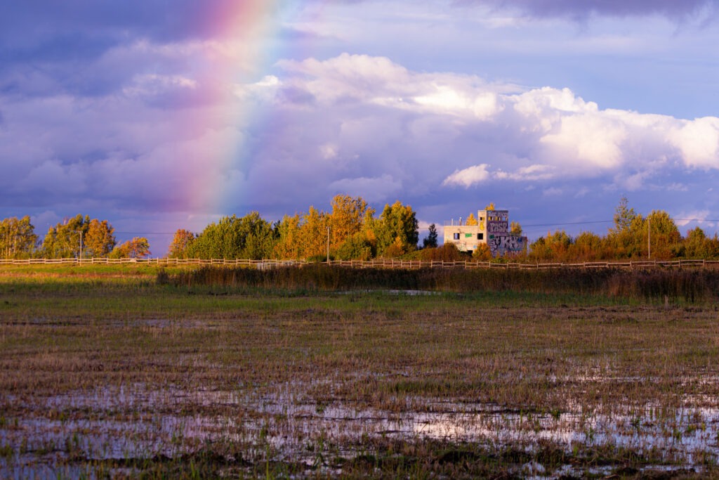 Rainbow over a waterlogged field with a graffiti-covered ruined building behind autumn trees