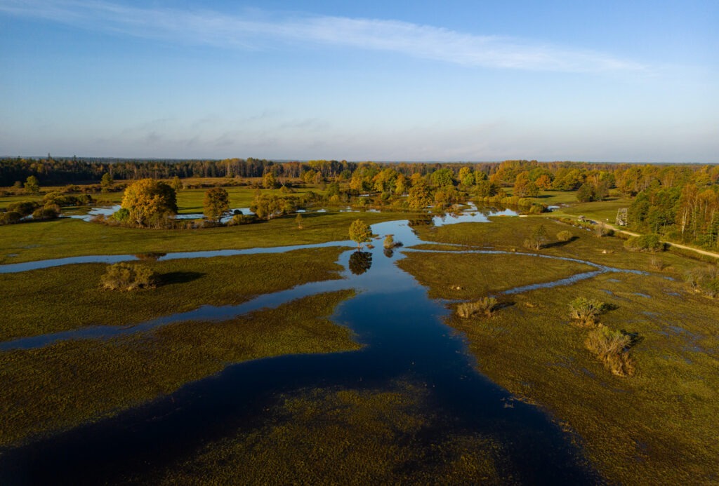 Aerial view of a flooded river meandering through green meadows and autumn trees under a blue sky