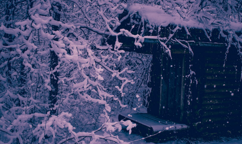 Cabin in the Winter