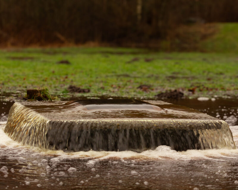 Tuhala Nõjakaev Fotograafia Nature Photography
