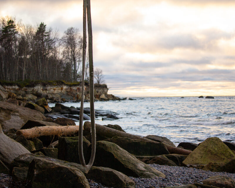 Salarand Nature Sea Photography