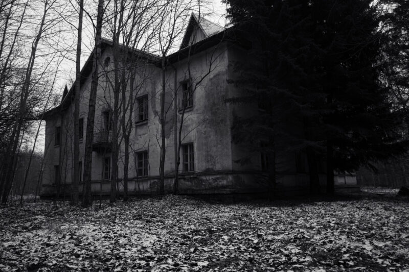 Urbay Decay Forest Photography
