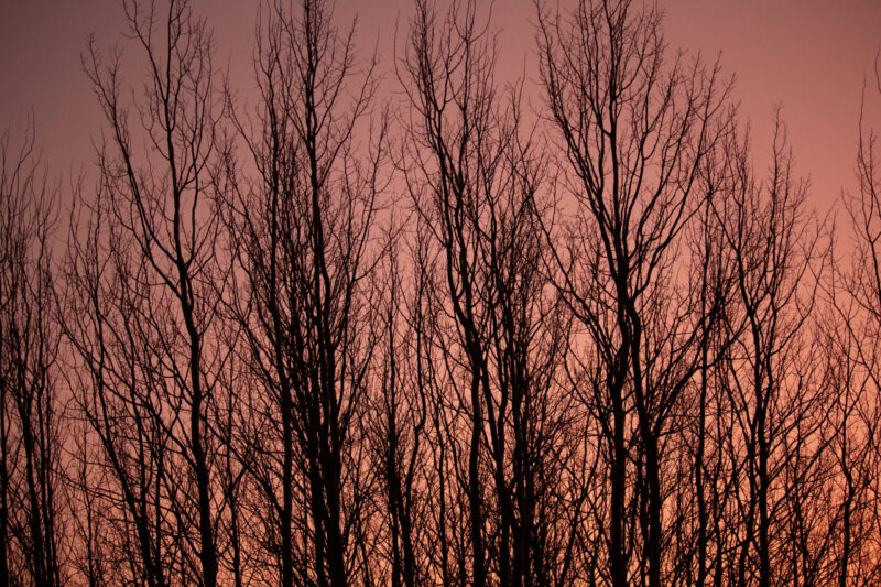 Abstract Nature Photography